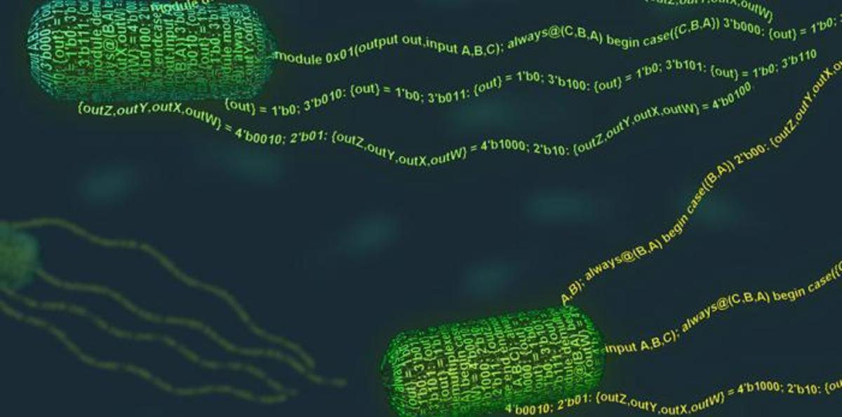 MIT-Program-Bacteria-press_WEB.jpg (Full)