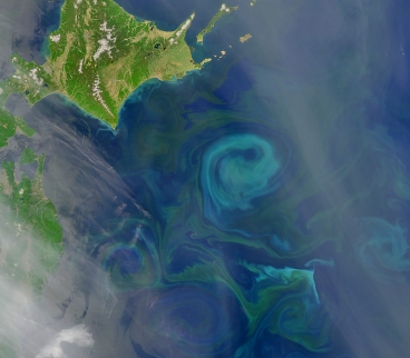 The swirls of color visible in the waters southeast of Japan's Hokkaido (island in upper left part of image) show where different kinds of phytoplankton are using chlorophyll and other pigments to capture sunlight and produce food. It turns out that phytoplankton affect how deeply sunlight is absorbed by the oceans, which affects how and where tropical cyclones form.	 Image: NASA