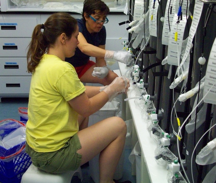 Jessica Fitzsimmons and Ana Aguilar-Islas, assistant professor at University of Alaska Fairbanks, prepare to fill bottles with seawater collected from a specific depth in the big ‘GO-FLO’ tanks. They will be measuring the dissolved iron in these samples. Credit: J. Fitzsimmons