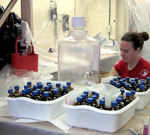 Kathleen Munson and some of the 700 samples she collected - Image source: Oceanus