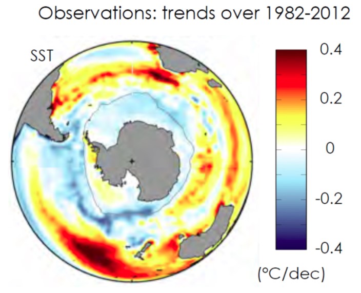 Observed sea surface temperature (SST) trends for 1982-2012 in °C/decade. The blue areas around Antarctica correspond to cooling and the red/yellow areas further equatorward, correspond to warming. The index plotted from model simulations in the 'spaghetti diagram' in the figure below is the SST averaged between 55S (roughly corresponding to the tip of South America) and 70S latitudes.  