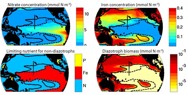 Limiting nutrients and abundance of nitrogen fixers in the Pacific Ocean - source: Ben Ward