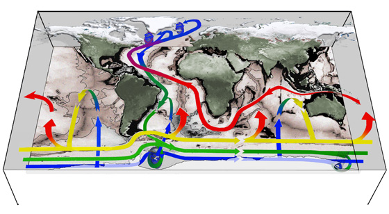 Connectivity of the world's oceans. The upper regions of ocean circulation are fed predominantly by broad upwelling across surfaces at mid-depth over the main ocean basins (rising blue-green-yellow arrows). Upwelling to the ocean surface occurs mainly around Antarctica in the Southern Ocean (rising yellow-red arrows) with wind and eddies playing a central role. (Image: John Marshall and Kevin Speer)