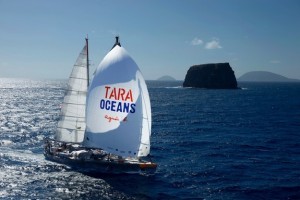 The Tara schooner. Credit: S. Bollet/Tara Expeditions